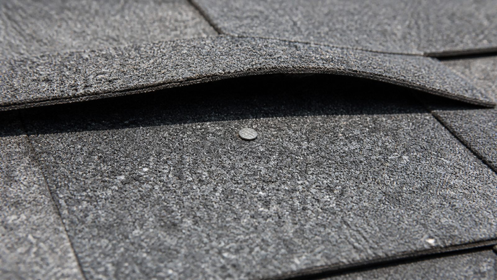 Galvanized roofing nail seated in the concealed zone beneath a lifted shingle course