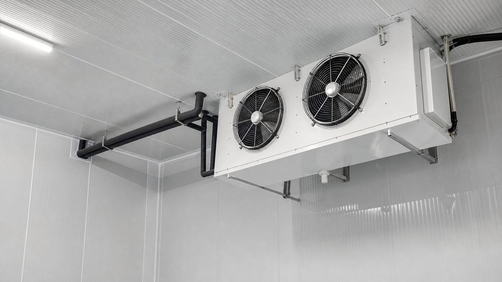 Commercial cold-room ceiling with insulated panels, refrigeration evaporator unit, supported lines, and vapor-tight transition