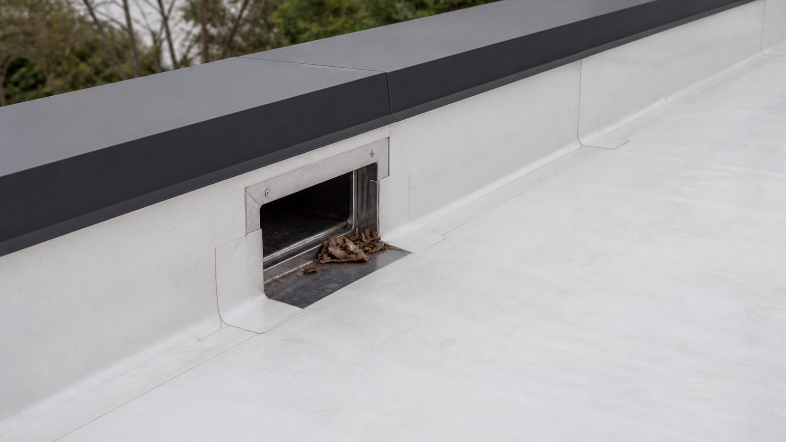 Flashed metal roof scupper with clean membrane and small dry leaf accumulation