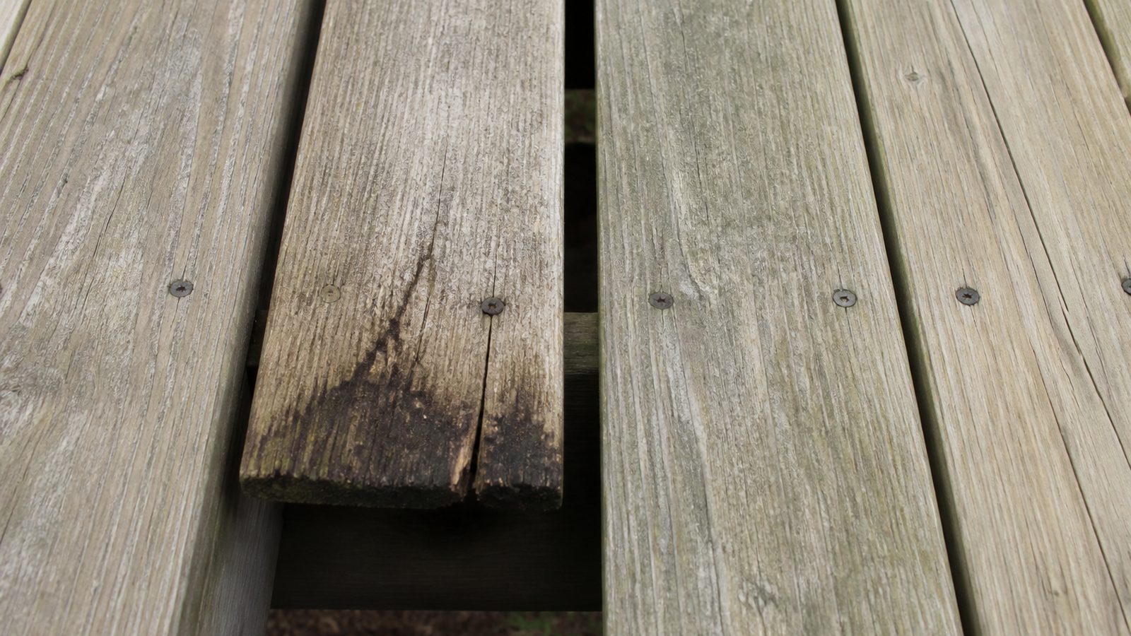 Weathered deck board with localized darkened end grain and a small split near a fastener