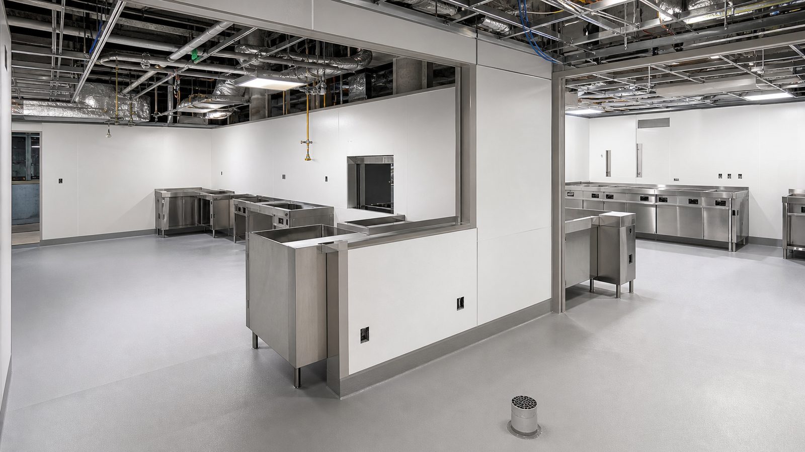 Specialized healthcare build-out with separated cleanable work zones, pass-through opening, MEP rough-in, and floor drain